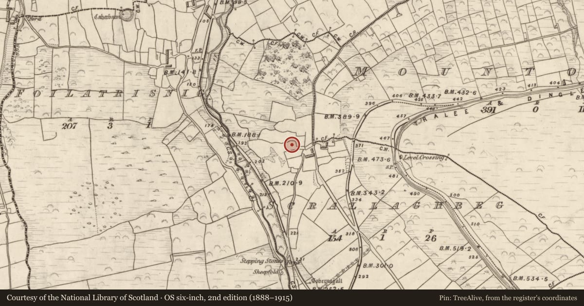 Ordnance Survey six-inch map, 2nd edition (1888–1915) covering the location of Hut site, Scrallaghbeg, County Kerry, with a pin at the register's coordinates