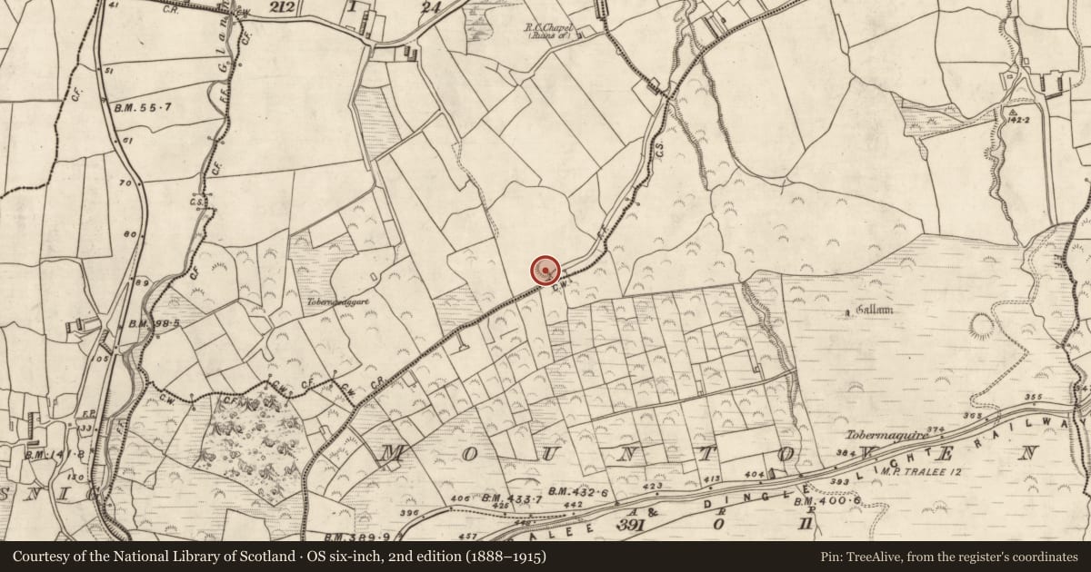 Ordnance Survey six-inch map, 2nd edition (1888–1915) covering the location of Ringfort - cashel, Cappaclogh West, County Kerry, with a pin at the register's coordinates