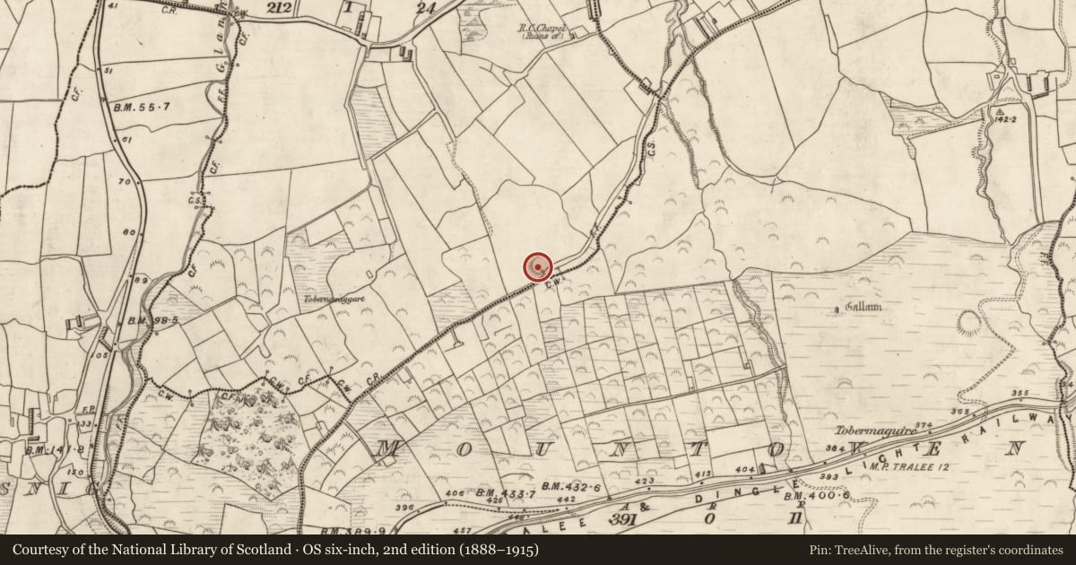 Ordnance Survey six-inch map, 2nd edition (1888–1915) covering the location of Souterrain, Cappaclogh West, County Kerry, with a pin at the register's coordinates