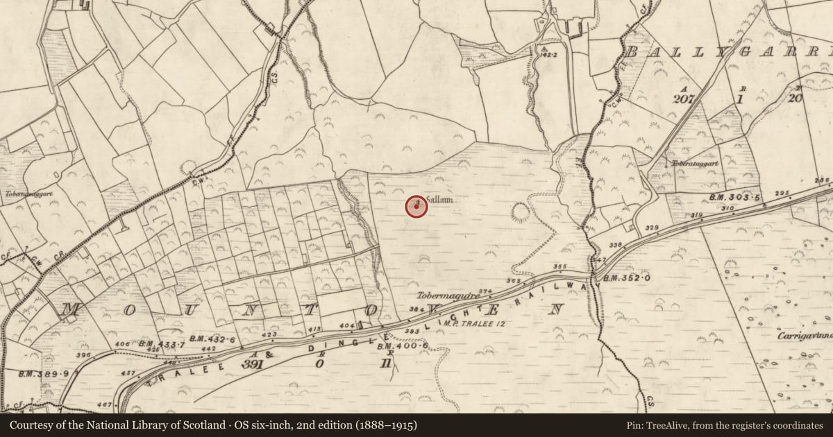 Ordnance Survey six-inch map, 2nd edition (1888–1915) covering the location of Standing stone, Mountoven, County Kerry, with a pin at the register's coordinates