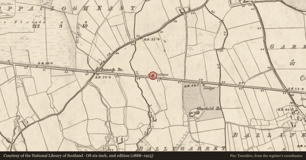 Ordnance Survey six-inch map, 2nd edition (1888–1915) covering the location of Stone row, Ballygarret, County Kerry, with a pin at the register's coordinates