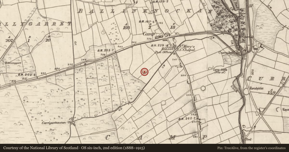 Ordnance Survey six-inch map, 2nd edition (1888–1915) covering the location of Ringfort - rath, Baile An Chnocáin (TC An Cnoc Glas), County Kerry, with a pin at the register's coordinates
