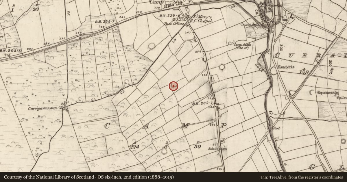 Ordnance Survey six-inch map, 2nd edition (1888–1915) covering the location of Ringfort - rath, Camp, County Kerry, with a pin at the register's coordinates