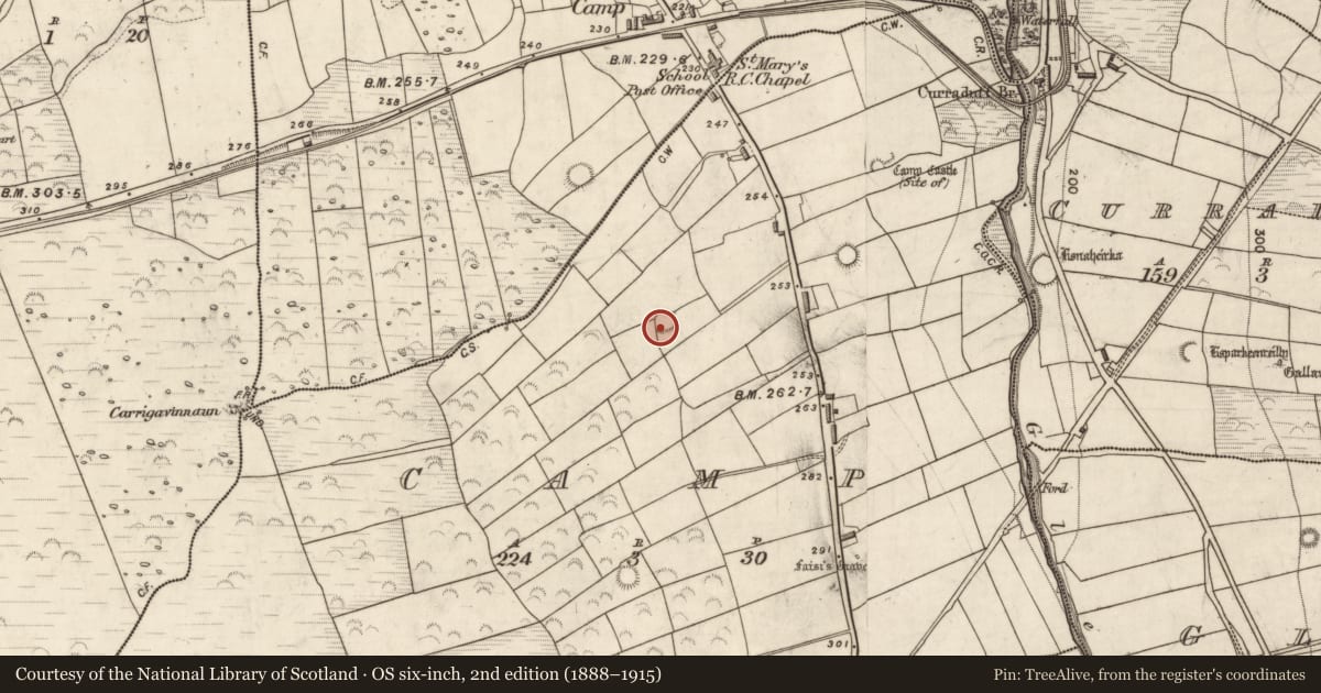 Ordnance Survey six-inch map, 2nd edition (1888–1915) covering the location of Souterrain, Camp, County Kerry, with a pin at the register's coordinates