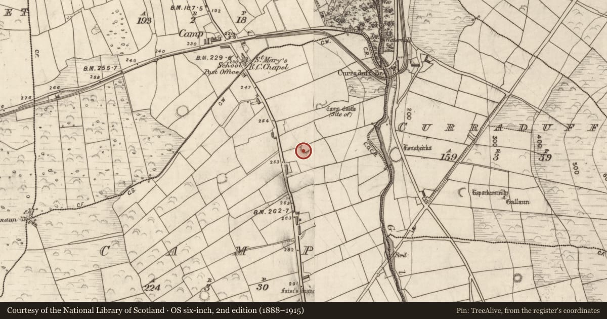 Ordnance Survey six-inch map, 2nd edition (1888–1915) covering the location of Souterrain, Camp, County Kerry, with a pin at the register's coordinates