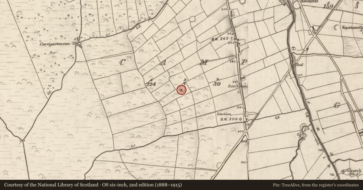 Ordnance Survey six-inch map, 2nd edition (1888–1915) covering the location of Ringfort - rath, Camp, County Kerry, with a pin at the register's coordinates