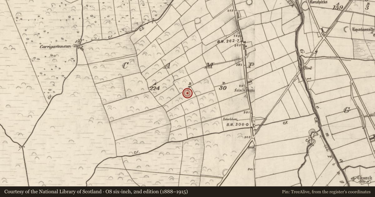 Ordnance Survey six-inch map, 2nd edition (1888–1915) covering the location of Souterrain, Camp, County Kerry, with a pin at the register's coordinates