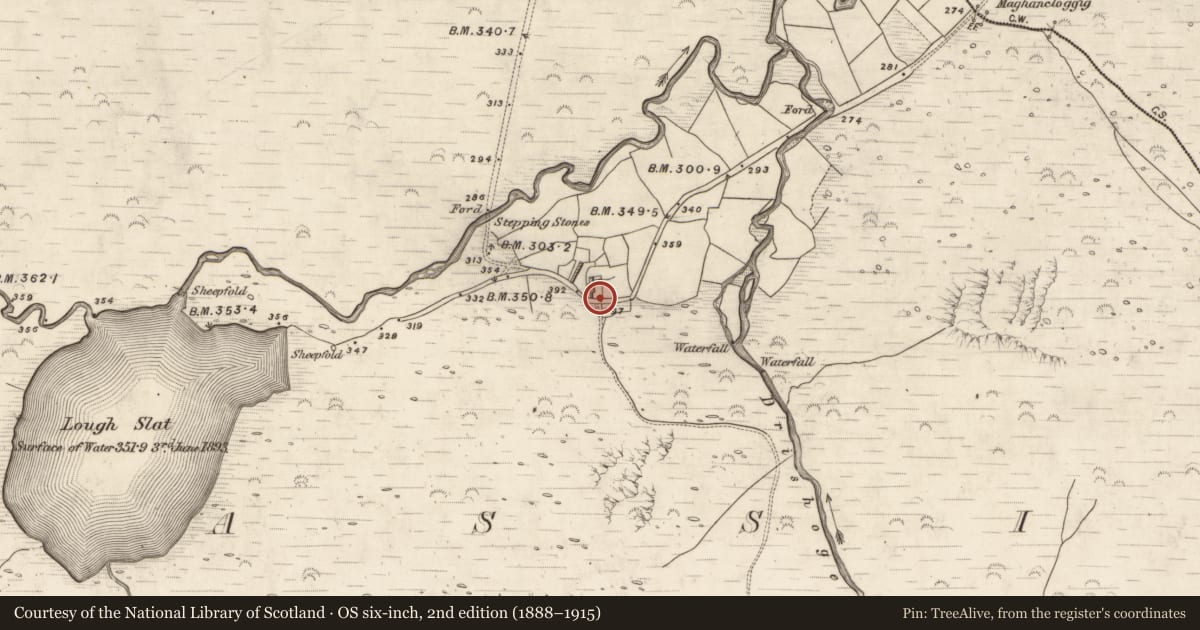 Ordnance Survey six-inch map, 2nd edition (1888–1915) covering the location of Rock art, Glanteenassig, County Kerry, with a pin at the register's coordinates