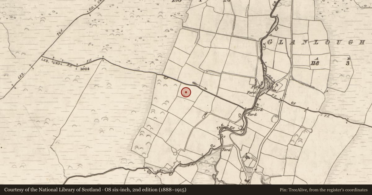 Ordnance Survey six-inch map, 2nd edition (1888–1915) covering the location of Ringfort - rath, Glanlough West, County Kerry, with a pin at the register's coordinates