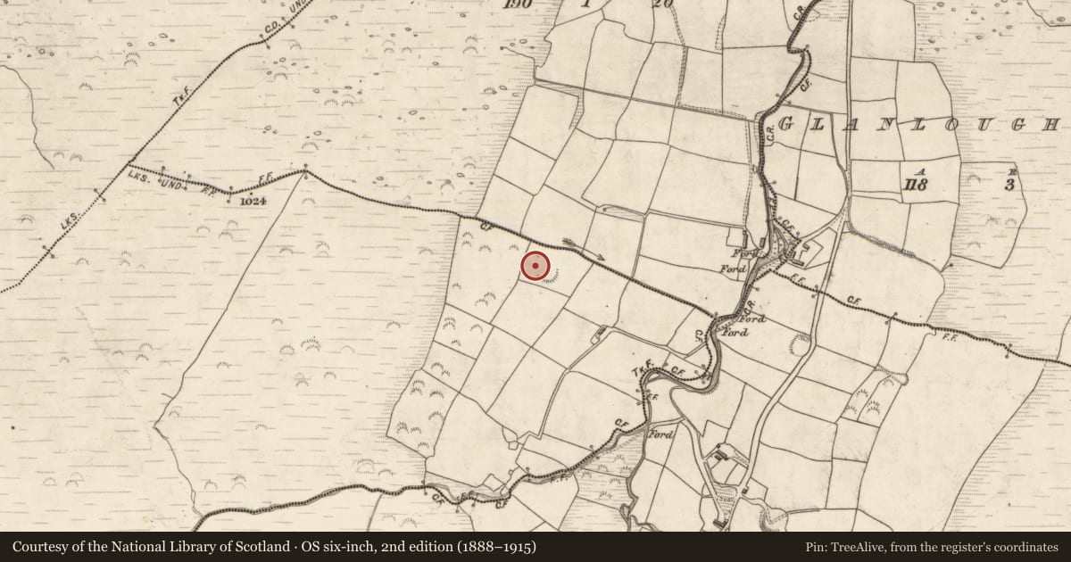 Ordnance Survey six-inch map, 2nd edition (1888–1915) covering the location of Hut site, Glanlough West, County Kerry, with a pin at the register's coordinates