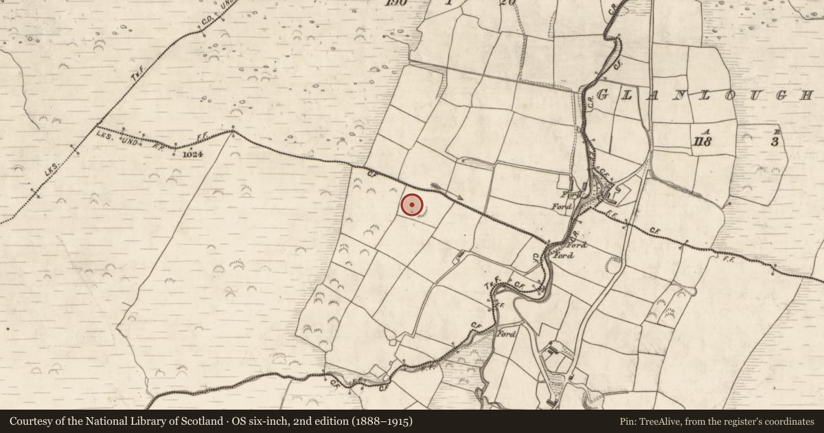 Ordnance Survey six-inch map, 2nd edition (1888–1915) covering the location of Hut site, Glanlough West, County Kerry, with a pin at the register's coordinates