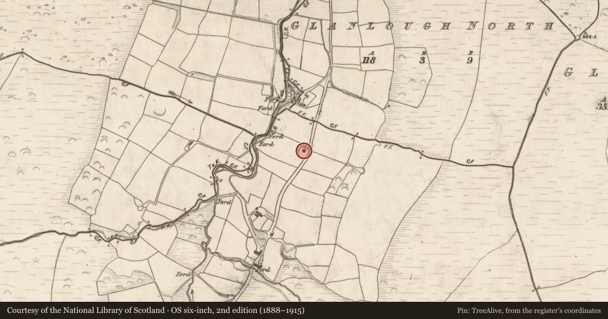 Ordnance Survey six-inch map, 2nd edition (1888–1915) covering the location of Souterrain, Glanlough South, County Kerry, with a pin at the register's coordinates