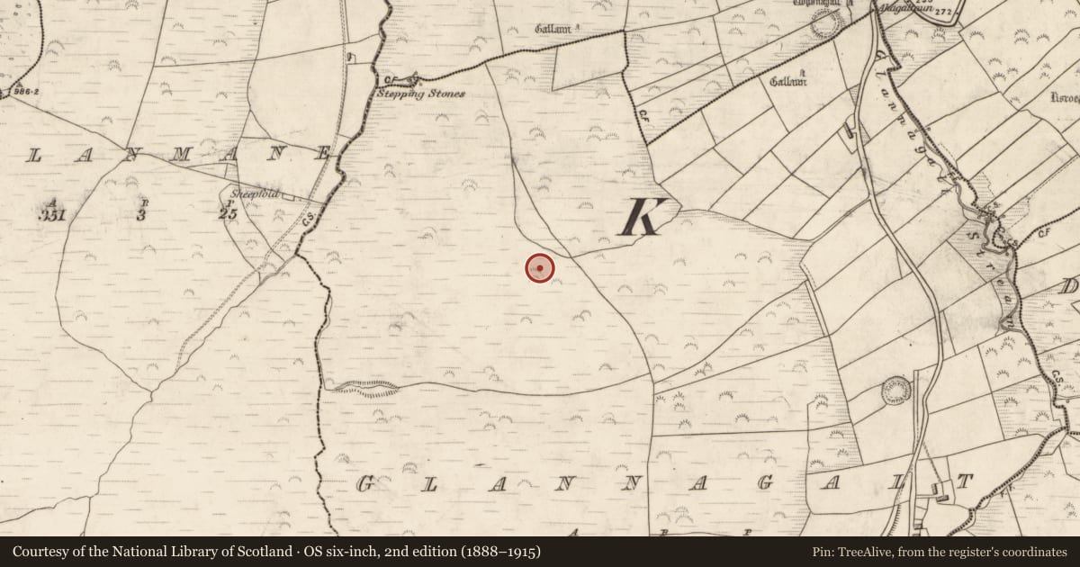 Ordnance Survey six-inch map, 2nd edition (1888–1915) covering the location of Ringfort - rath, Glannagalt, County Kerry, with a pin at the register's coordinates