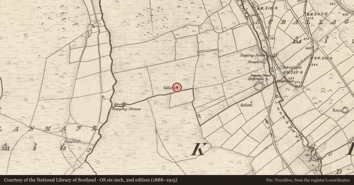 Ordnance Survey six-inch map, 2nd edition (1888–1915) covering the location of Standing stone, Foilatrisnig, County Kerry, with a pin at the register's coordinates