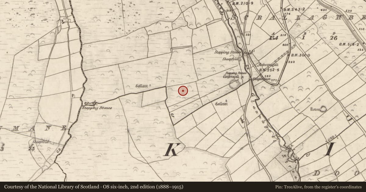 Ordnance Survey six-inch map, 2nd edition (1888–1915) covering the location of Hut site, Foilatrisnig, County Kerry, with a pin at the register's coordinates