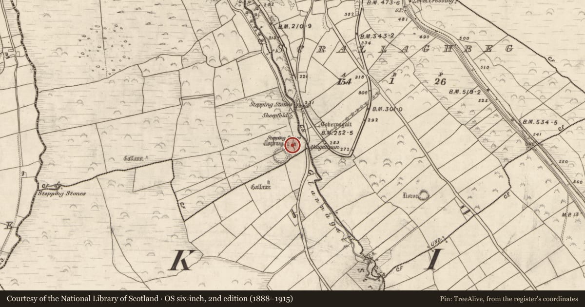 Ordnance Survey six-inch map, 2nd edition (1888–1915) covering the location of Bullaun stone, Foilatrisnig, County Kerry, with a pin at the register's coordinates