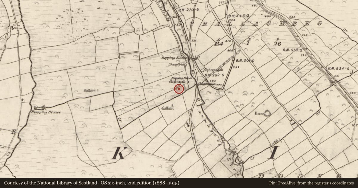 Ordnance Survey six-inch map, 2nd edition (1888–1915) covering the location of Ringfort - rath, Foilatrisnig, County Kerry, with a pin at the register's coordinates