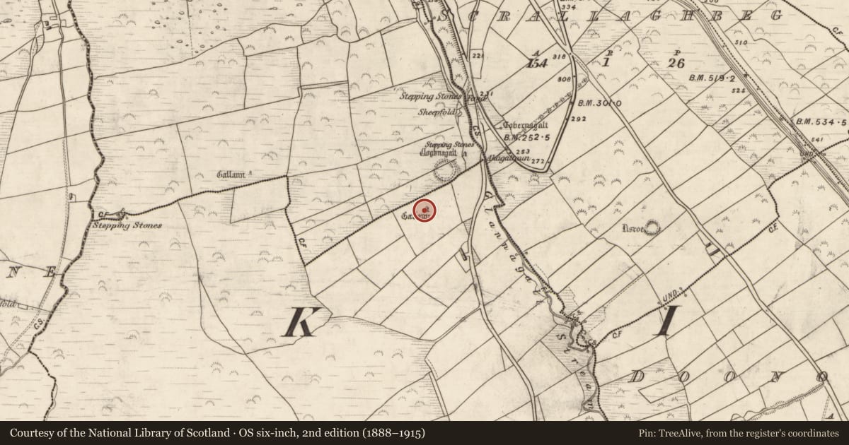 Ordnance Survey six-inch map, 2nd edition (1888–1915) covering the location of Standing stone, Glannagalt, County Kerry, with a pin at the register's coordinates