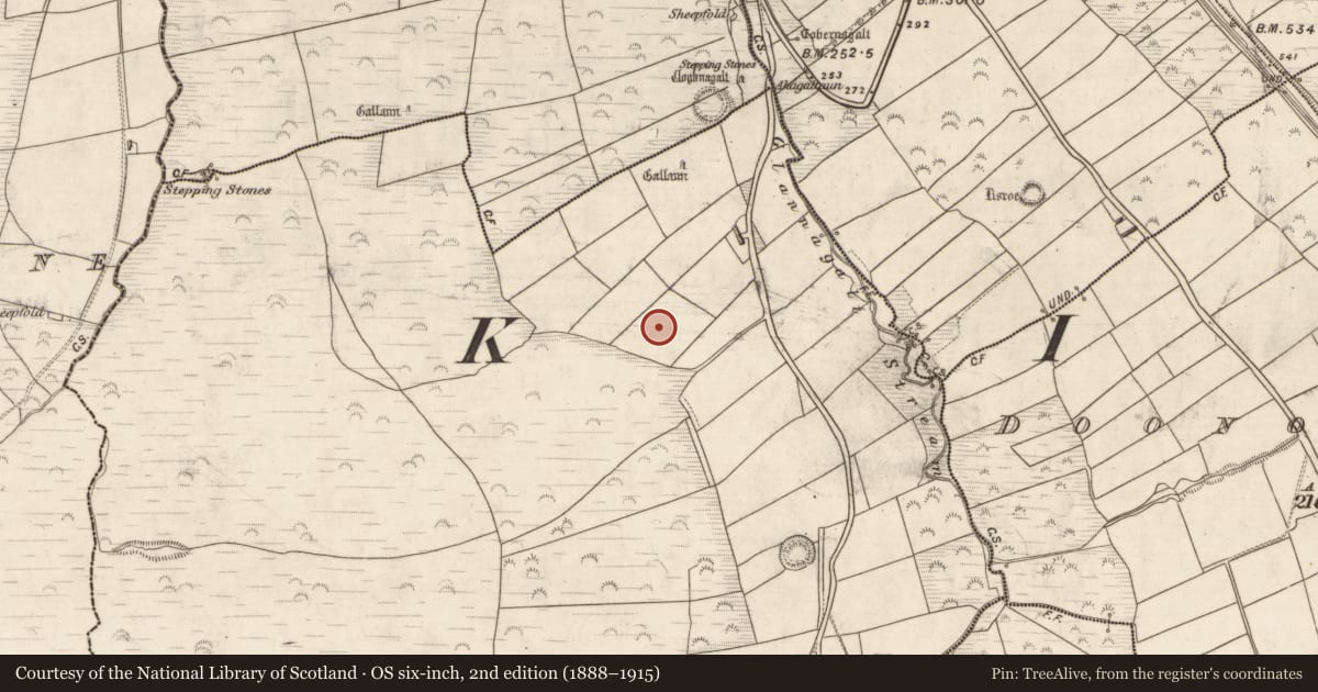 Ordnance Survey six-inch map, 2nd edition (1888–1915) covering the location of Ringfort - rath, Glannagalt, County Kerry, with a pin at the register's coordinates