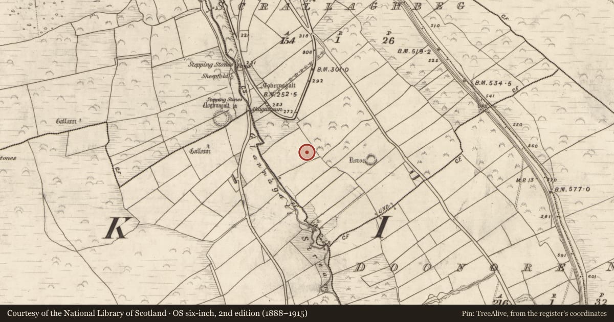 Ordnance Survey six-inch map, 2nd edition (1888–1915) covering the location of Ringfort - rath, Scrallaghbeg, County Kerry, with a pin at the register's coordinates