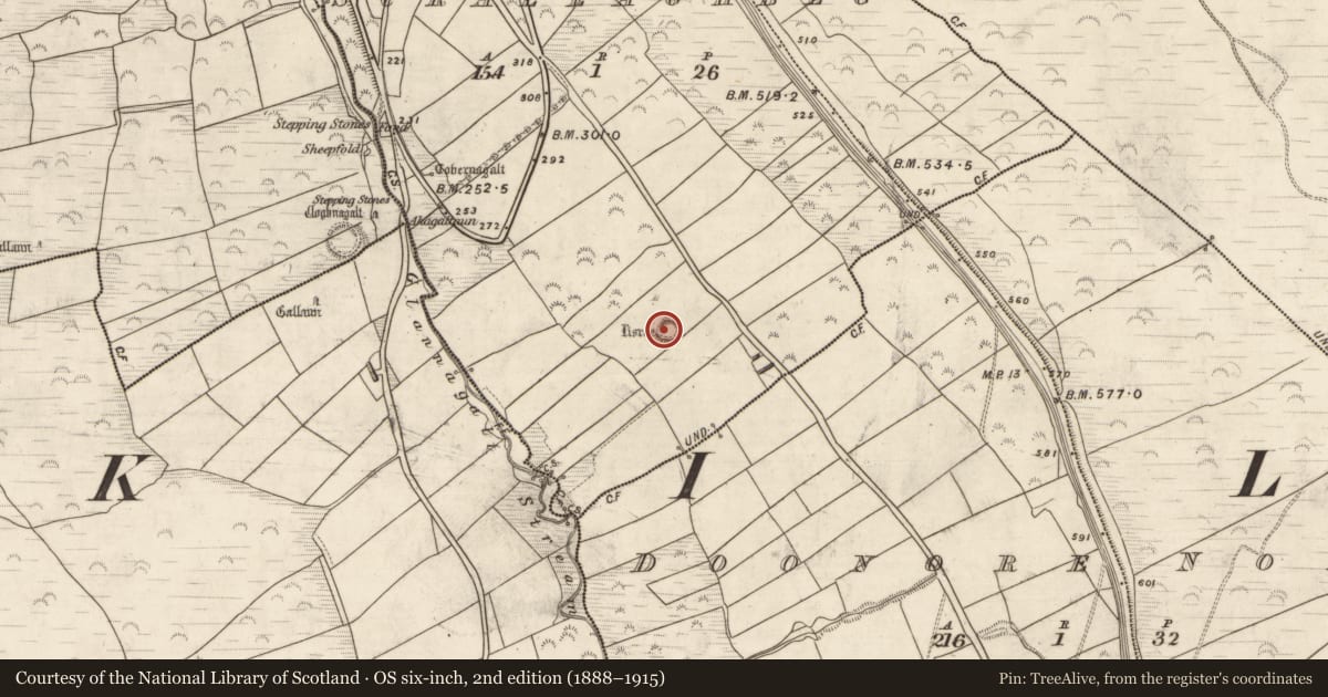 Ordnance Survey six-inch map, 2nd edition (1888–1915) covering the location of Ringfort - rath, Scrallaghbeg, County Kerry, with a pin at the register's coordinates