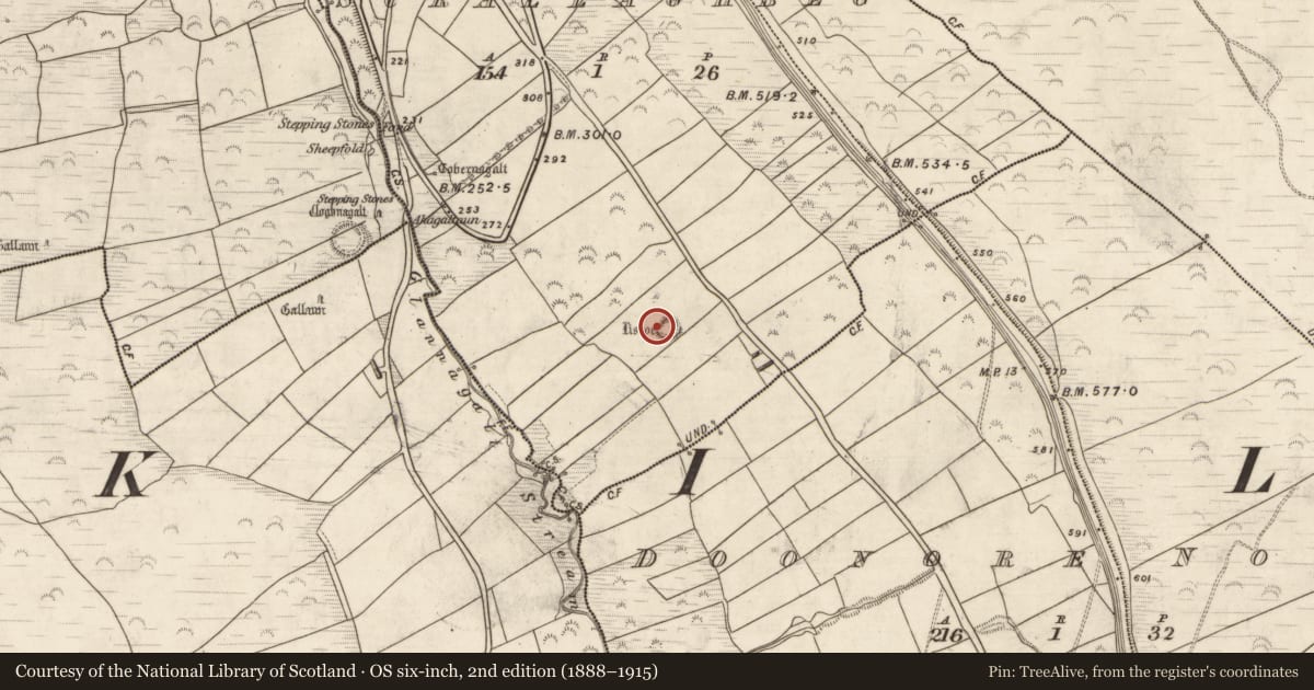 Ordnance Survey six-inch map, 2nd edition (1888–1915) covering the location of Hut site, Scrallaghbeg, County Kerry, with a pin at the register's coordinates