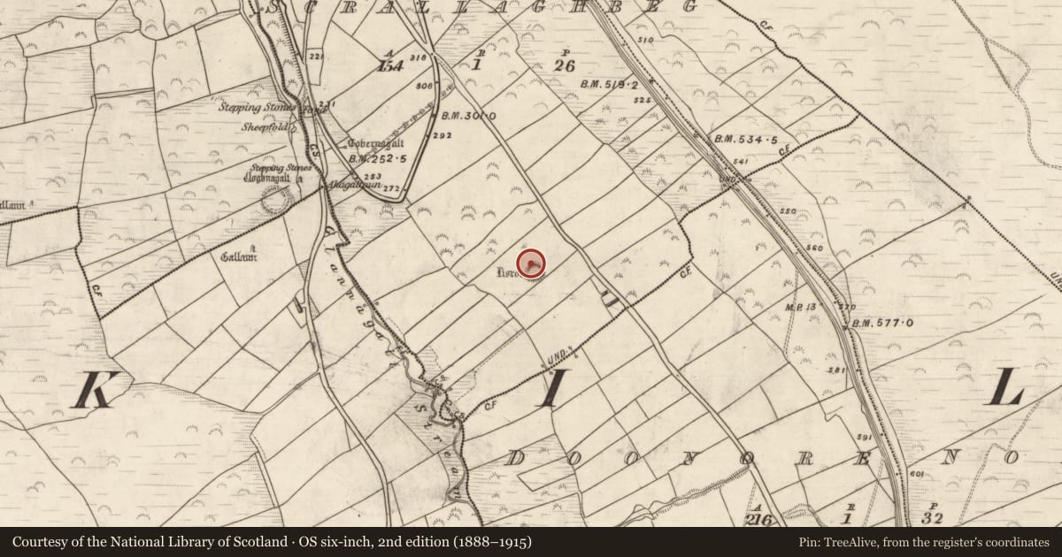 Ordnance Survey six-inch map, 2nd edition (1888–1915) covering the location of Souterrain, Scrallaghbeg, County Kerry, with a pin at the register's coordinates