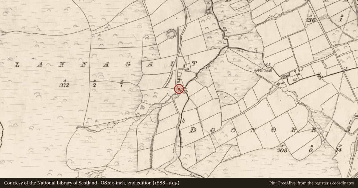 Ordnance Survey six-inch map, 2nd edition (1888–1915) covering the location of Cross-slab (present location), Glannagalt, County Kerry, with a pin at the register's coordinates