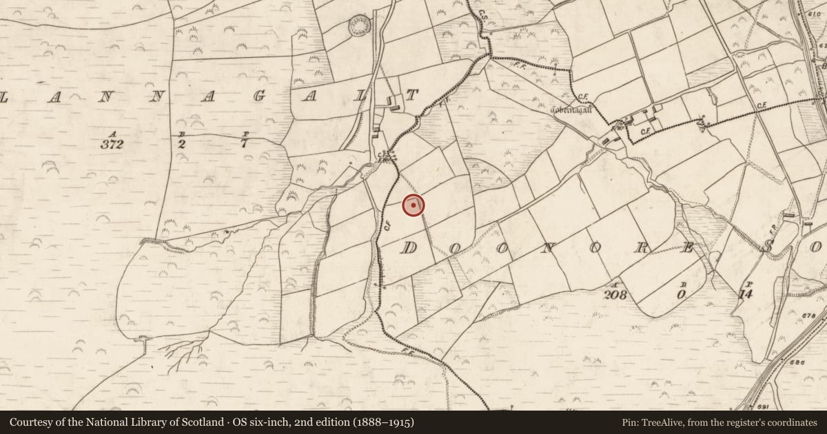 Ordnance Survey six-inch map, 2nd edition (1888–1915) covering the location of Hut site, Doonore South, County Kerry, with a pin at the register's coordinates