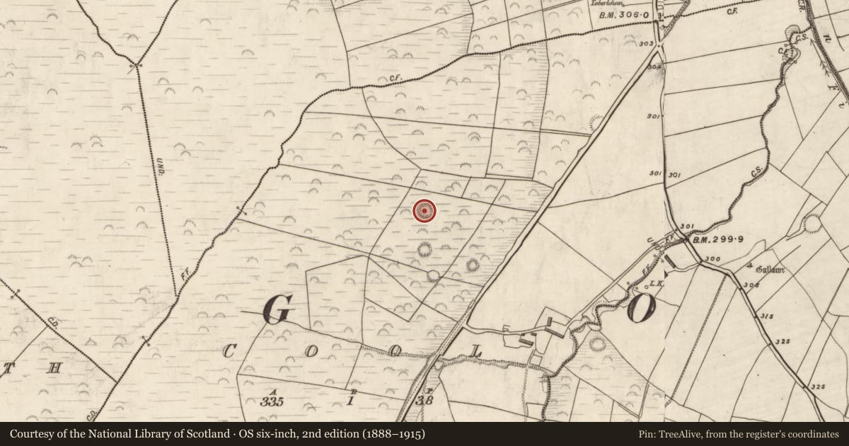 Ordnance Survey six-inch map, 2nd edition (1888–1915) covering the location of Ringfort - rath, Cool, County Kerry, with a pin at the register's coordinates