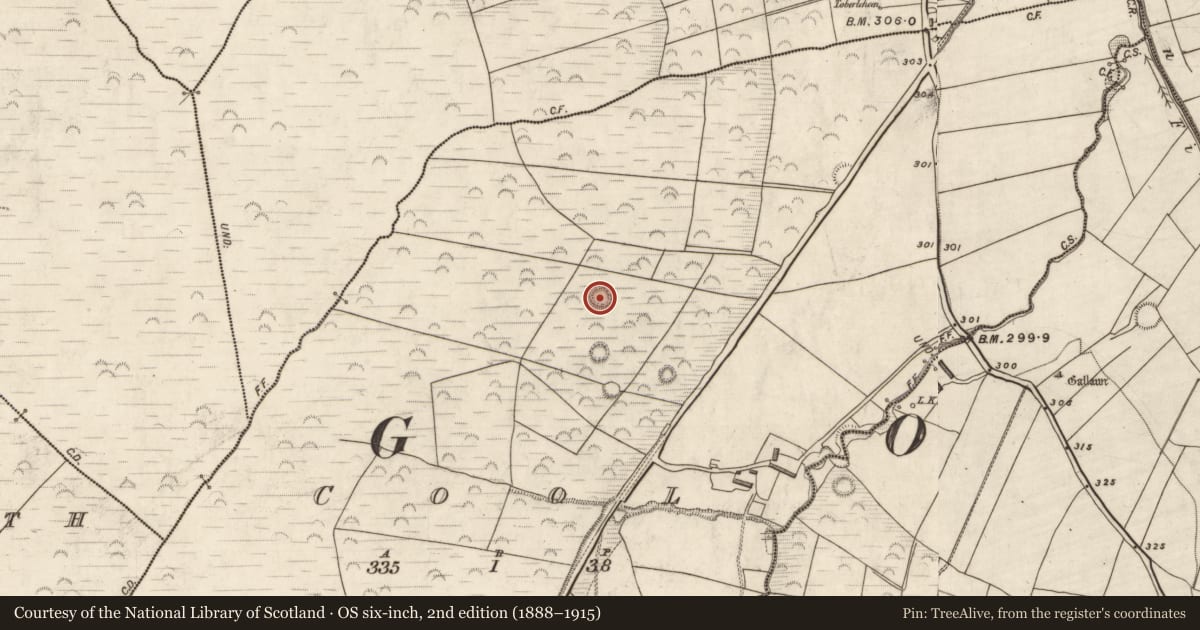 Ordnance Survey six-inch map, 2nd edition (1888–1915) covering the location of Hut site, Cool, County Kerry, with a pin at the register's coordinates