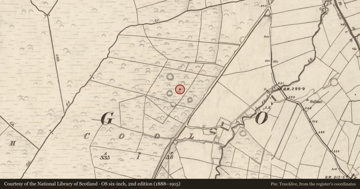 Ordnance Survey six-inch map, 2nd edition (1888–1915) covering the location of Hut site, Cool, County Kerry, with a pin at the register's coordinates