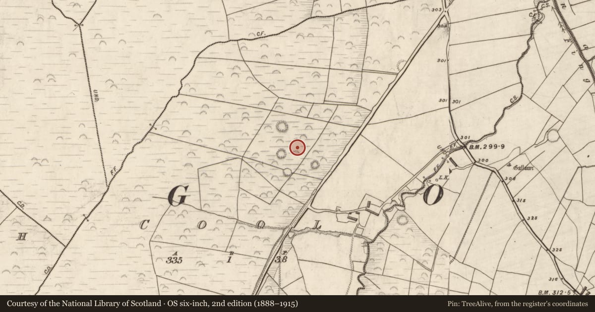 Ordnance Survey six-inch map, 2nd edition (1888–1915) covering the location of Hut site, Cool, County Kerry, with a pin at the register's coordinates