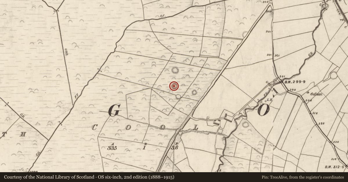Ordnance Survey six-inch map, 2nd edition (1888–1915) covering the location of Ringfort - rath, Cool, County Kerry, with a pin at the register's coordinates
