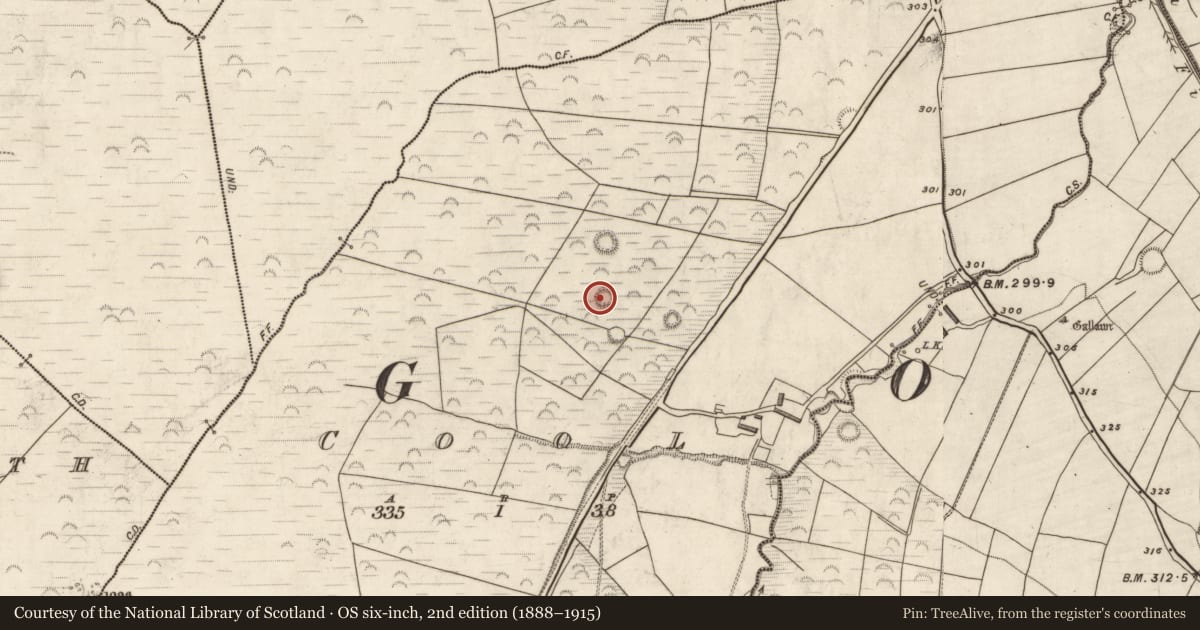 Ordnance Survey six-inch map, 2nd edition (1888–1915) covering the location of Hut site, Cool, County Kerry, with a pin at the register's coordinates