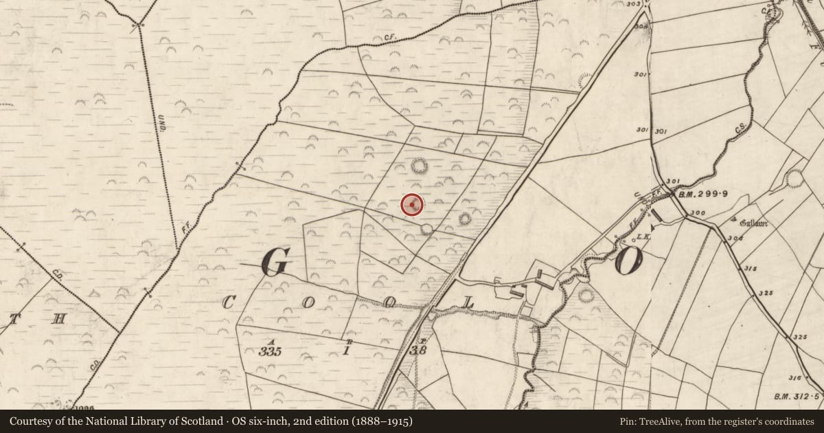 Ordnance Survey six-inch map, 2nd edition (1888–1915) covering the location of Hut site, Cool, County Kerry, with a pin at the register's coordinates