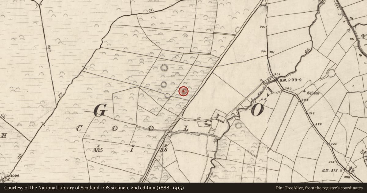 Ordnance Survey six-inch map, 2nd edition (1888–1915) covering the location of Ringfort - rath, Cool, County Kerry, with a pin at the register's coordinates