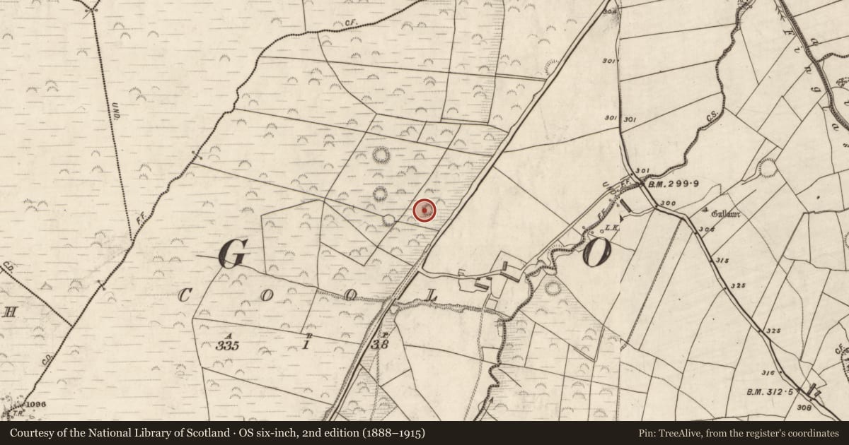 Ordnance Survey six-inch map, 2nd edition (1888–1915) covering the location of Hut site, Cool, County Kerry, with a pin at the register's coordinates