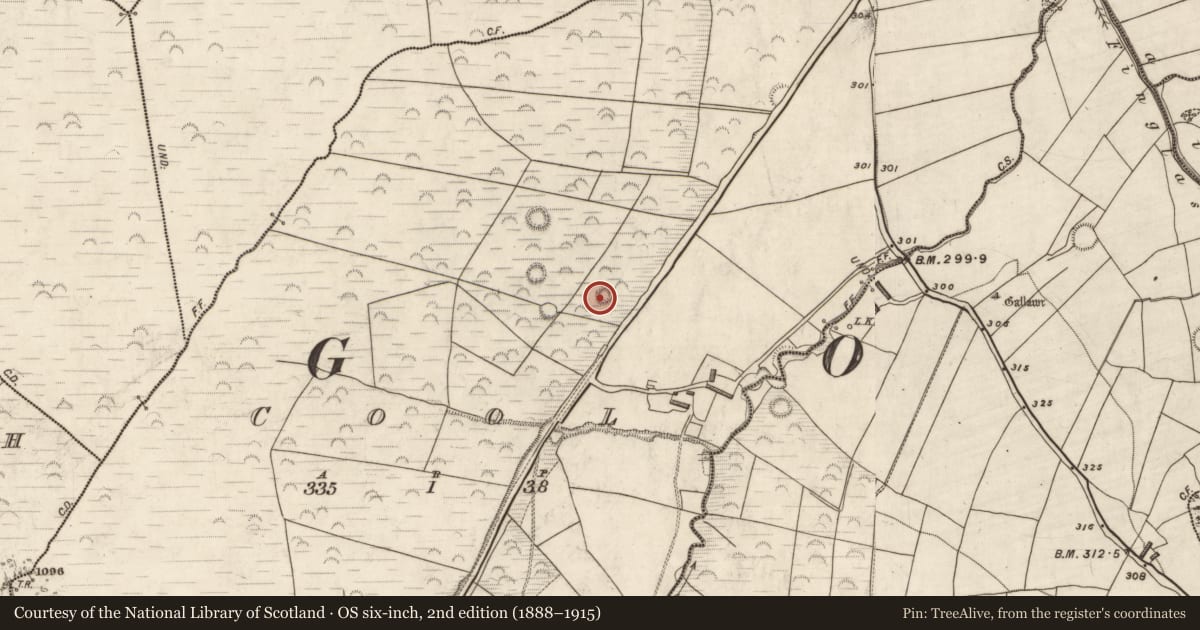 Ordnance Survey six-inch map, 2nd edition (1888–1915) covering the location of Hut site, Cool, County Kerry, with a pin at the register's coordinates