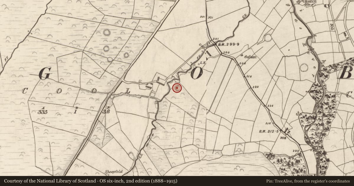 Ordnance Survey six-inch map, 2nd edition (1888–1915) covering the location of Hut site, Kilteenbane, County Kerry, with a pin at the register's coordinates