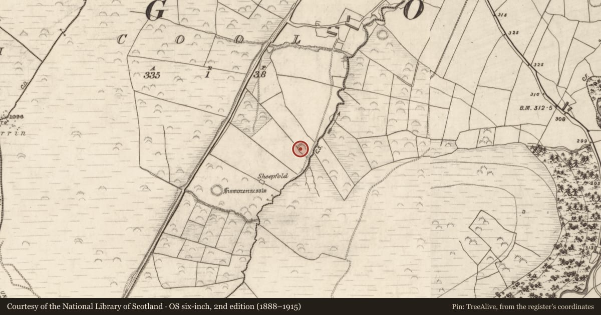 Ordnance Survey six-inch map, 2nd edition (1888–1915) covering the location of Enclosure, Cool, County Kerry, with a pin at the register's coordinates