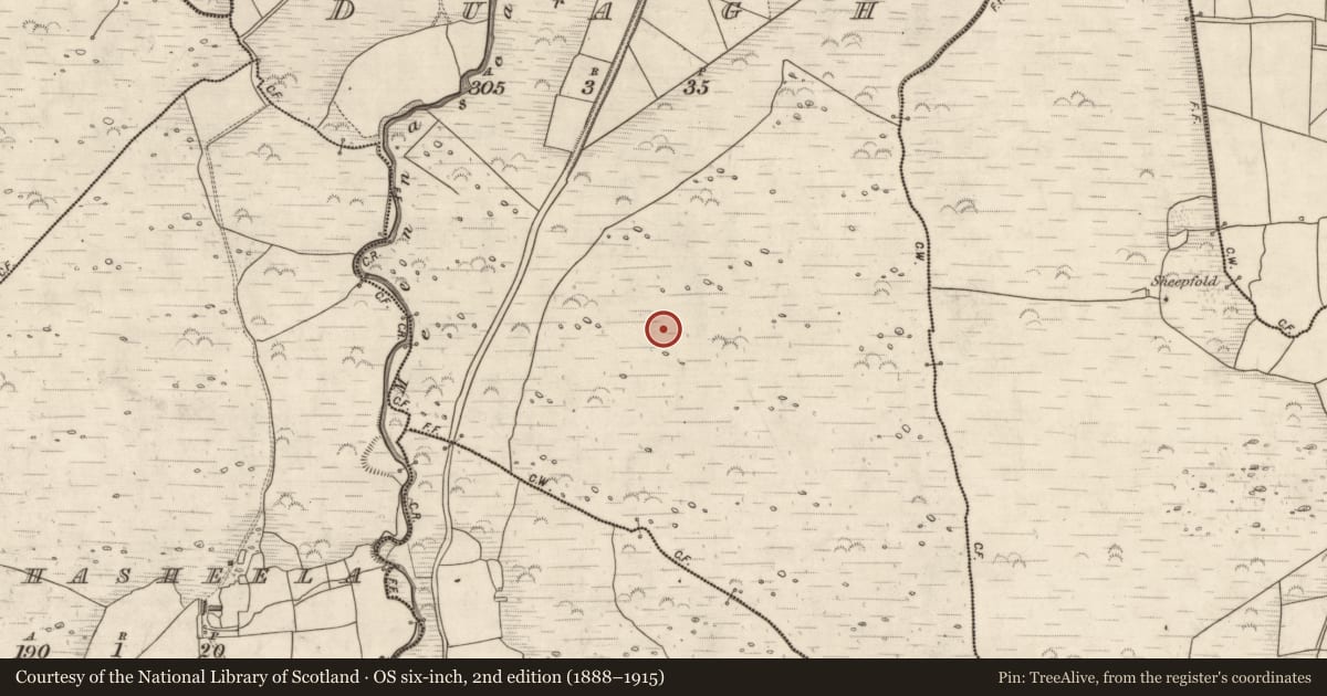 Ordnance Survey six-inch map, 2nd edition (1888–1915) covering the location of Hut site, Duagh, County Kerry, with a pin at the register's coordinates