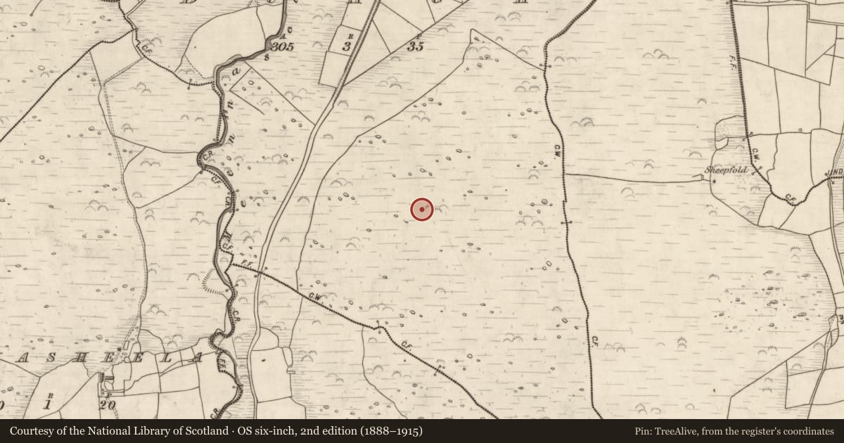 Ordnance Survey six-inch map, 2nd edition (1888–1915) covering the location of Hut site, Duagh, County Kerry, with a pin at the register's coordinates
