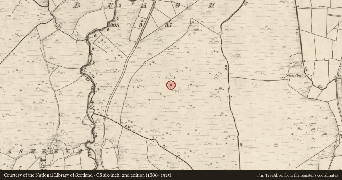 Ordnance Survey six-inch map, 2nd edition (1888–1915) covering the location of Hut site, Duagh, County Kerry, with a pin at the register's coordinates