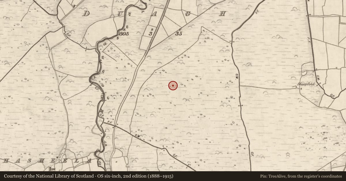 Ordnance Survey six-inch map, 2nd edition (1888–1915) covering the location of Hut site, Duagh, County Kerry, with a pin at the register's coordinates