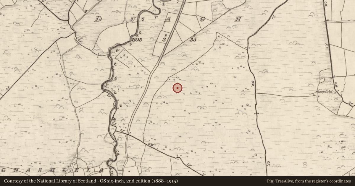 Ordnance Survey six-inch map, 2nd edition (1888–1915) covering the location of Hut site, Duagh, County Kerry, with a pin at the register's coordinates