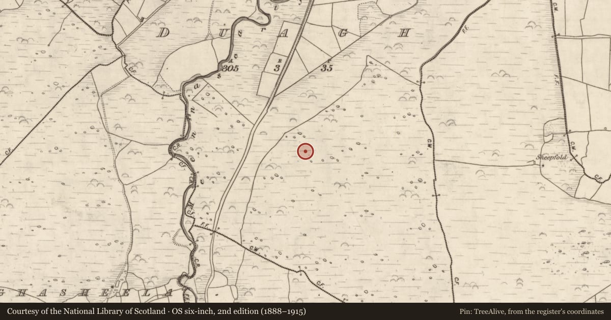 Ordnance Survey six-inch map, 2nd edition (1888–1915) covering the location of Hut site, Duagh, County Kerry, with a pin at the register's coordinates