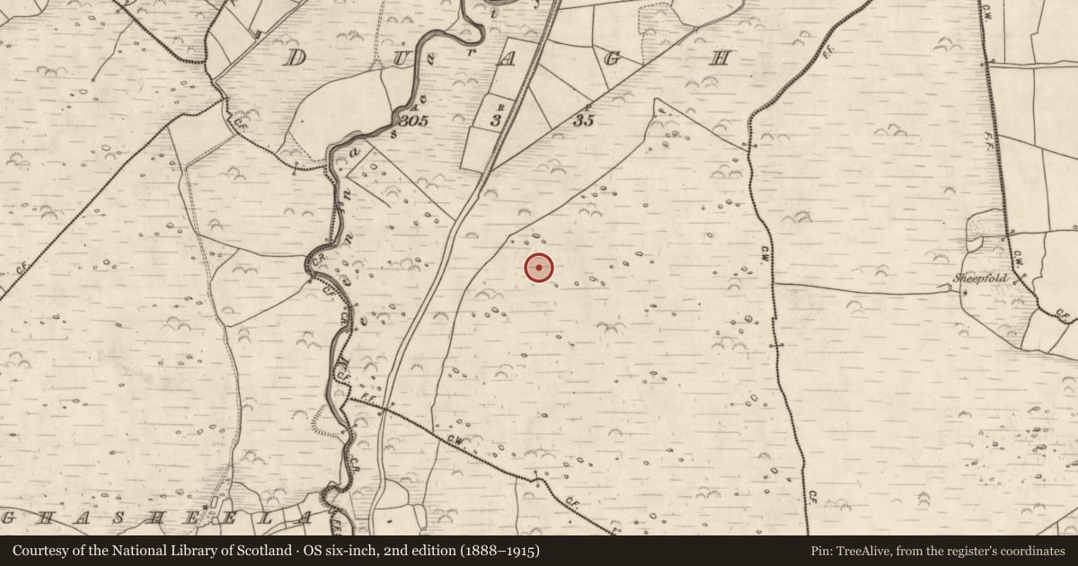 Ordnance Survey six-inch map, 2nd edition (1888–1915) covering the location of Hut site, Duagh, County Kerry, with a pin at the register's coordinates