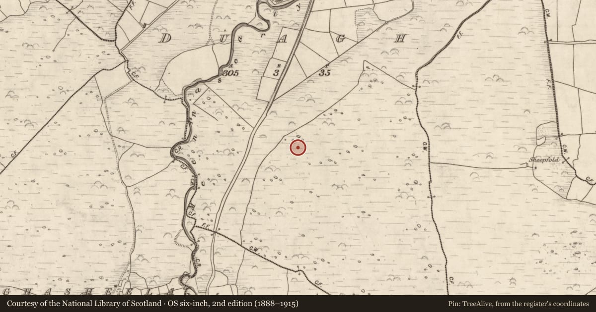 Ordnance Survey six-inch map, 2nd edition (1888–1915) covering the location of Hut site, Duagh, County Kerry, with a pin at the register's coordinates