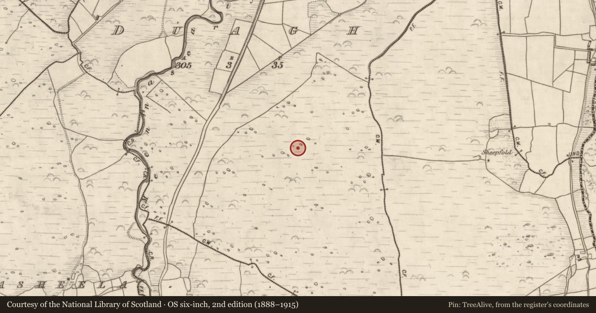 Ordnance Survey six-inch map, 2nd edition (1888–1915) covering the location of Hut site, Duagh, County Kerry, with a pin at the register's coordinates